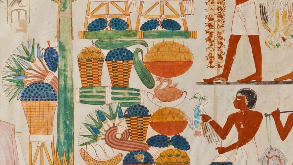 7th NINO Annual Meeting (campaign image)