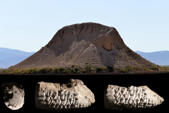 Sancisi lecture by Wouter Henkelman (campaign image)