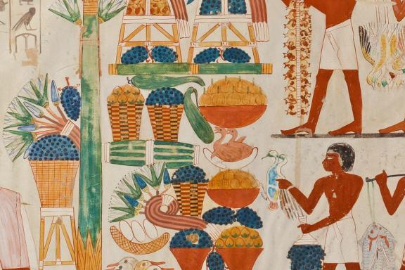 7th NINO Annual Meeting (campaign image)