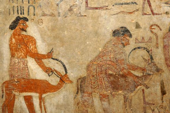 Detail from the tomb of Ibsha at Beni Hassan (Herta Mohr Lecture 2026 campaign image)